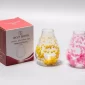 Bait Baitk Double Wall Glass Mate Cup with Dried Flowers - Bait Baitk Lebanon