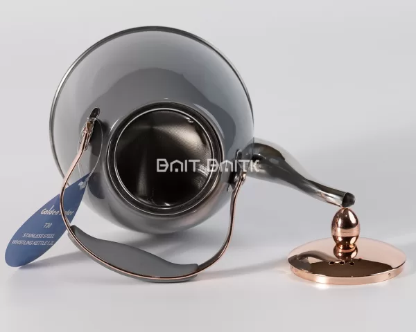 sk-4641-10 Golden Ruler Stainless Steel Whistling Kettle 1.2L (Multiple Colors) - Bait Baitk Lebanon