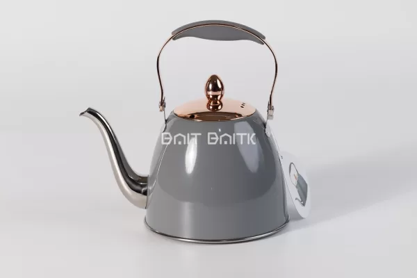 sk-4641-9 Golden Ruler Stainless Steel Whistling Kettle 1.2L (Multiple Colors) - Bait Baitk Lebanon
