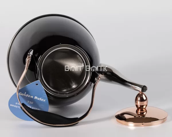 sk-4642-1 Golden Ruler Stainless Steel Whistling Kettle 1.2L (Multiple Colors) - Bait Baitk Lebanon