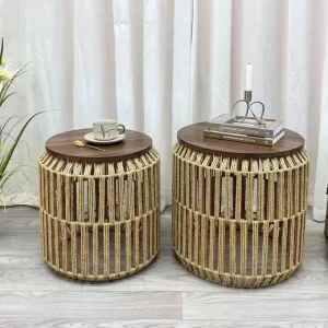 Elegant Modern Center Table