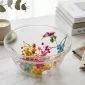 Crystal Clear Glass Serving Bowl | Modern Home Decor - Bait Baitk Lebanon