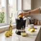 Dorsch Citrus Press CP-85W DH-07413 in use