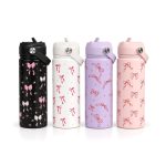 Stainless Bow Water Bottle with Straw Lid, 530 ml